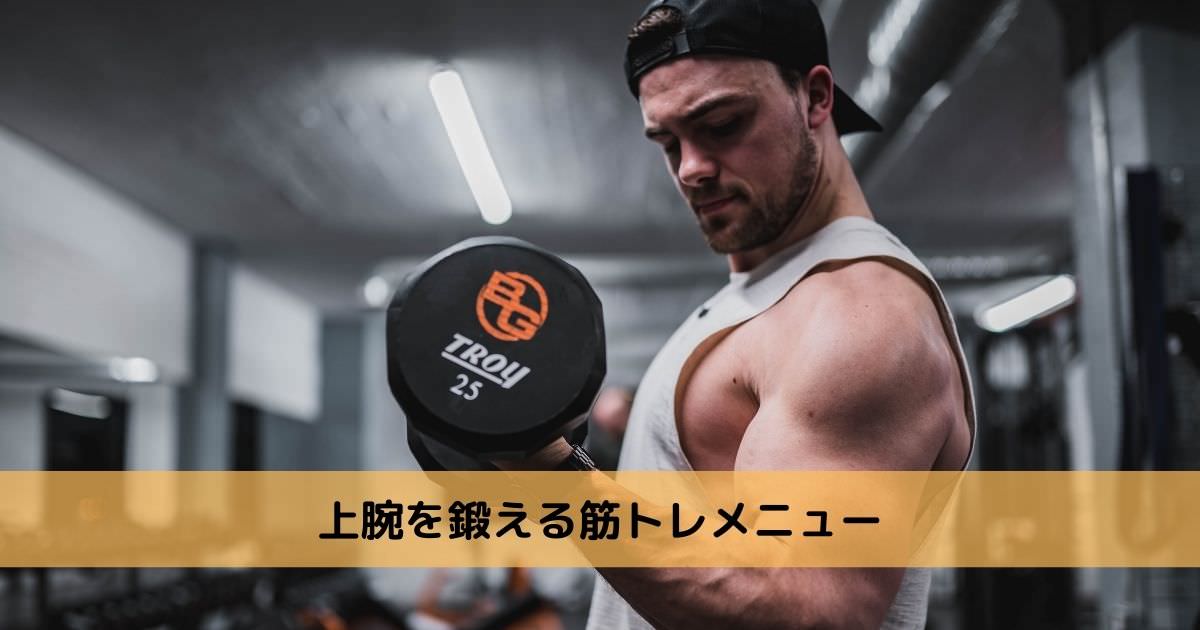 上腕を鍛える筋トレメニュー【おすすめ5選】 - ASK+room