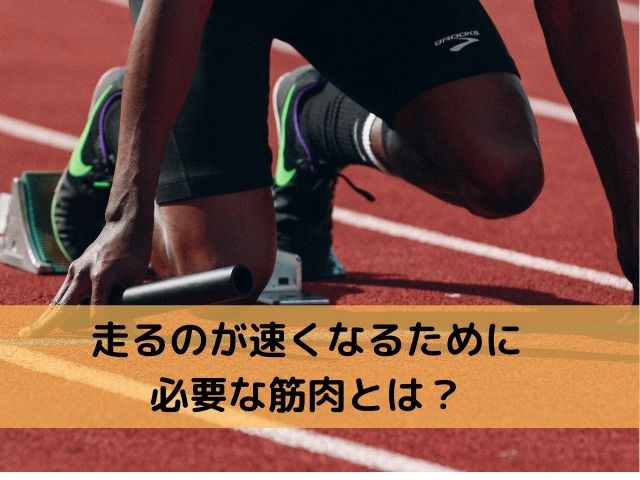 走るのが速くなるために必要な筋肉とは？