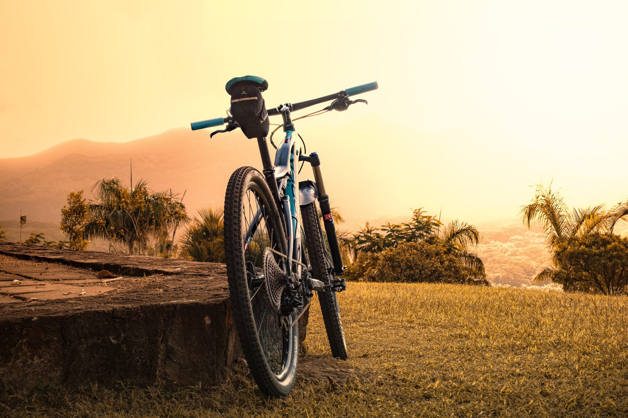 自転車 運動 効果